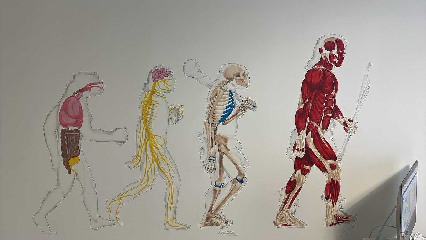 Décoration cabinet ostéopathie Clément Thiriot Gagny ostéopathe