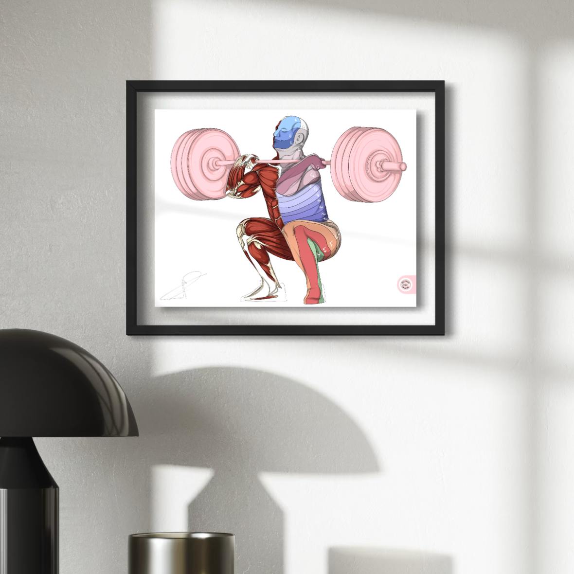 anatomie dermatome En Chair et en Os